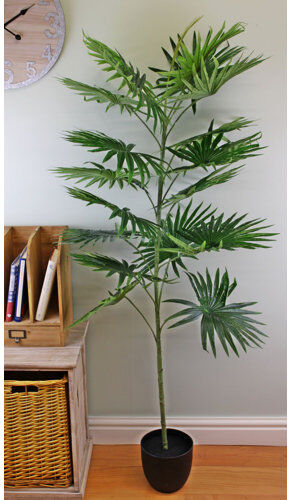 The Seasonal Aisle 144cm Artificial Palm Tree in Pot The Seasonal Aisle  - Size: Rectangle 120 x 170cm The Seasonal Aisle 144cm Artificial Palm Tree in Pot The Seasonal Aisle  - Size: Rectangle 120 x 170cm