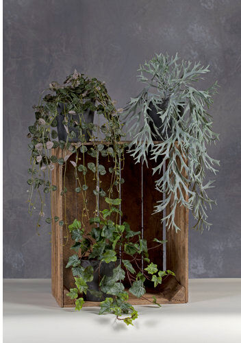 The Seasonal Aisle Hedera Artificial Foliage Plant in Pot The Seasonal Aisle  - Size: The Seasonal Aisle Hedera Artificial Foliage Plant in Pot The Seasonal Aisle  - Size: