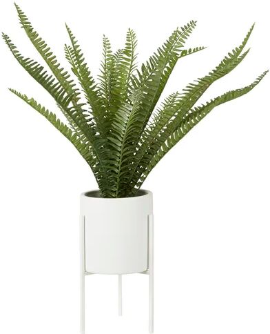 Brayden Studio 30cm Artificial Fern Plant in Pot Brayden Studio  - Size: 76cm H x 76cm W