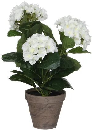 The Seasonal Aisle Artificial Flowering Plant in Pot The Seasonal Aisle Flower Colour: White, Size: 40cm H x 35cm W x 35cm D  - Size: Rectangle 80 x 150cm