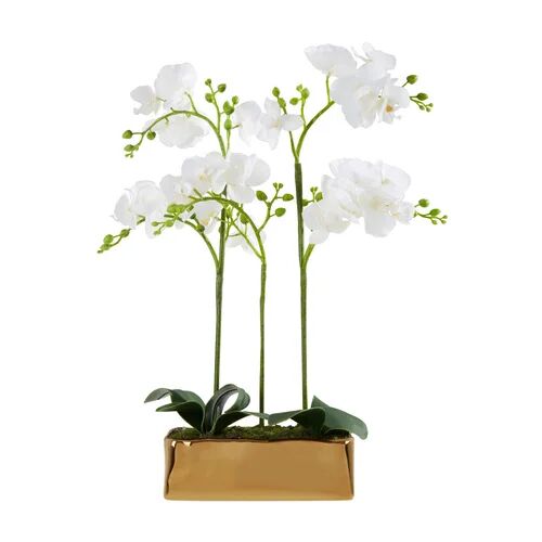 Canora Grey 15cm Artificial Flowering Plant in Pot Canora Grey Container Colour: Gold  - Size: 60cm H x 60cm W