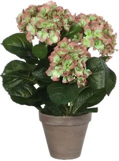 The Seasonal Aisle Artificial Flowering Plant in Pot The Seasonal Aisle 45.72cm H x 45.72cm W x 3.81cm D