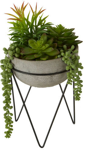 Rio 15cm Artificial Succulent Plant in Planter Williston Forge  - Size: Rio 15cm Artificial Succulent Plant in Planter Williston Forge  - Size: