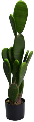 The Seasonal Aisle 73cm Artificial Cactus Plant in Planter (Set of 2) The Seasonal Aisle  - Size: Large The Seasonal Aisle 73cm Artificial Cactus Plant in Planter (Set of 2) The Seasonal Aisle  - Size: Large