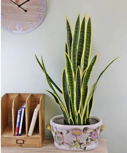 The Seasonal Aisle 83cm Artificial Foliage Tree in Pot The Seasonal Aisle  - Size: 210cm H x 300cm W x 0.02cm D The Seasonal Aisle 83cm Artificial Foliage Tree in Pot The Seasonal Aisle  - Size: 210cm H x 300cm W x 0.02cm D