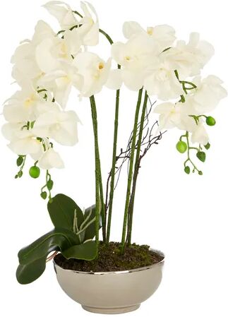 Canora Grey 50cm Artificial Flowering Plant in Pot Canora Grey  - Size: 54cm H X 30cm W X 30cm D Canora Grey 50cm Artificial Flowering Plant in Pot Canora Grey  - Size: 54cm H X 30cm W X 30cm D