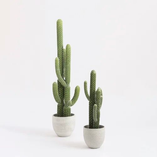 The Seasonal Aisle 68.5cm Artificial Cactus Plant In Pot The Seasonal Aisle  - Size: 88cm H X 200cm W X 140cm D The Seasonal Aisle 68.5cm Artificial Cactus Plant In Pot The Seasonal Aisle  - Size: 88cm H X 200cm W X 140cm D