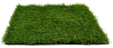 The Seasonal Aisle 3.5cm Artificial Grass The Seasonal Aisle Size: 3.5cm H x 500cm W x 200cm D  - Size: 3.5cm H x 450cm W x 100cm D The Seasonal Aisle 3.5cm Artificial Grass The Seasonal Aisle Size: 3.5cm H x 500cm W x 200cm D  - Size: 3.5cm H x 450cm W x 100cm D