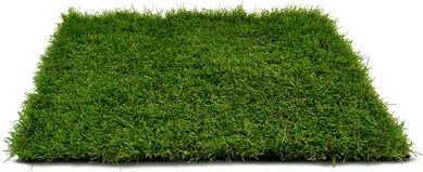 The Seasonal Aisle 3.5cm Artificial Grass The Seasonal Aisle Size: 3.5cm H x 100cm W x 200cm D  - Size: 3.5cm H x 400cm W x 200cm D The Seasonal Aisle 3.5cm Artificial Grass The Seasonal Aisle Size: 3.5cm H x 100cm W x 200cm D  - Size: 3.5cm H x 400cm W x 200cm D