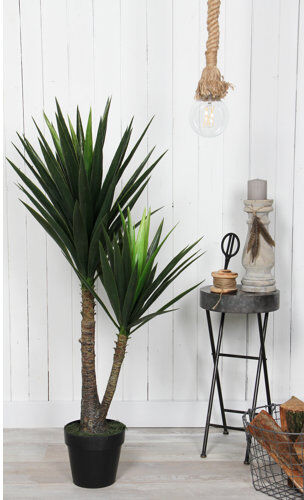 Bay Isle Home 102cm Artificial Yucca Tree in Pot Bay Isle Home  - Size: 52cm H X 200cm W X 40cm D Bay Isle Home 102cm Artificial Yucca Tree in Pot Bay Isle Home  - Size: 52cm H X 200cm W X 40cm D
