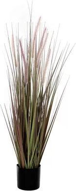 The Seasonal Aisle Onion Grass in Pot The Seasonal Aisle Size: 120cm H x 15cm W x 15cm D  - Size: 258cm H X 496cm W X 303cm D