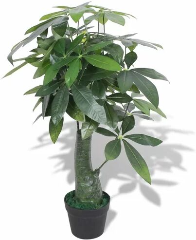 Bay Isle Home Floor Fortune Tree in Pot Bay Isle Home  - Size: 74cm H X 120cm W X 70cm D Bay Isle Home Floor Fortune Tree in Pot Bay Isle Home  - Size: 74cm H X 120cm W X 70cm D