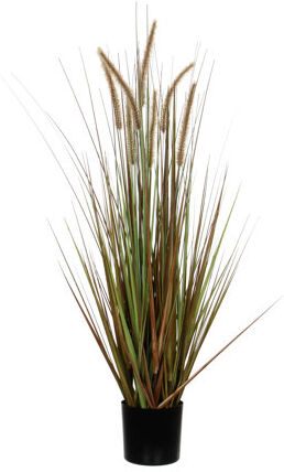 The Seasonal Aisle Artificial Pampas Grass in Pot The Seasonal Aisle Size: 150cm H x 70cm W x 70cm D  - Size: 90cm H X 49cm W X 49cm D The Seasonal Aisle Artificial Pampas Grass in Pot The Seasonal Aisle Size: 150cm H x 70cm W x 70cm D  - Size: 90cm H X 49cm W X 49cm D