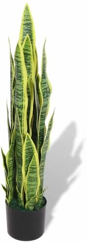 Bay Isle Home Sansevieria Floor Snake Plant in Pot Bay Isle Home  - Size: Small Bay Isle Home Sansevieria Floor Snake Plant in Pot Bay Isle Home  - Size: Small
