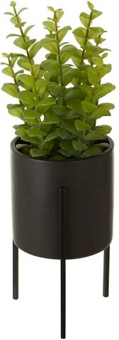 Brayden Studio 10cm Artificial Herbs Plant in Pot Brayden Studio  - Size: Rectangle 107 x 168cm