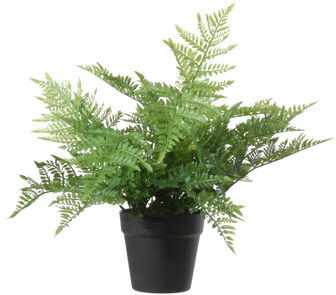 The Seasonal Aisle 36cm Artificial Fern Plant in Pot The Seasonal Aisle  - Size: 45.72cm H x 45.72cm W x 3.81cm D The Seasonal Aisle 36cm Artificial Fern Plant in Pot The Seasonal Aisle  - Size: 45.72cm H x 45.72cm W x 3.81cm D