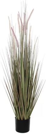 The Seasonal Aisle Onion Grass in Pot The Seasonal Aisle Size:  90cm H x 12.5cm W x 12.5cm D  - Size: 150cm H