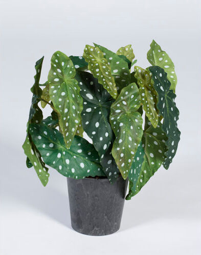 The Seasonal Aisle 37" Artificial Foliage Plant in Pot The Seasonal Aisle  - Size: Rectangle 201 x 274cm The Seasonal Aisle 37" Artificial Foliage Plant in Pot The Seasonal Aisle  - Size: Rectangle 201 x 274cm