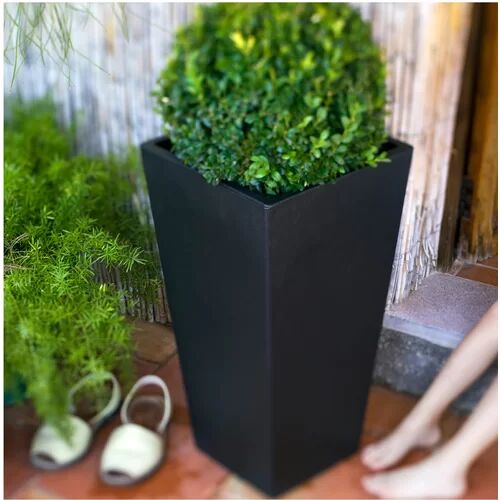 Symple Stuff Square Plastic Pot Symple Stuff Colour: Black  - Size: 31cm H x 35cm W x 35cm D