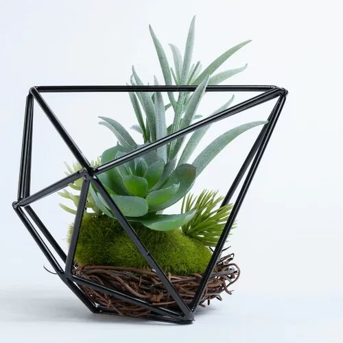 The Seasonal Aisle Artificial Herbs Succulent in Basket (Set of 6) The Seasonal Aisle  - Size: 20cm H X 1cm W X 20cm D