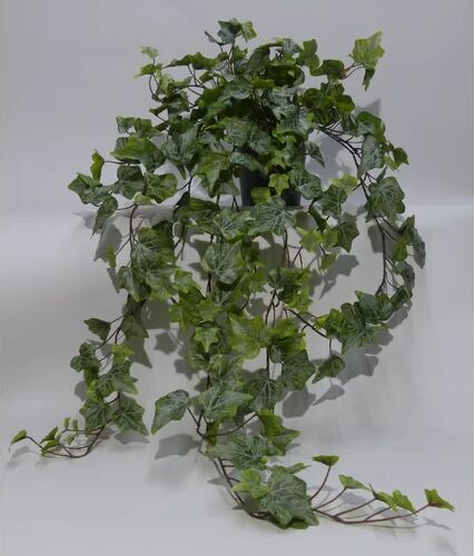 The Seasonal Aisle Hedera Artificial Foliage Plant in Pot The Seasonal Aisle  - Size: The Seasonal Aisle Hedera Artificial Foliage Plant in Pot The Seasonal Aisle  - Size: