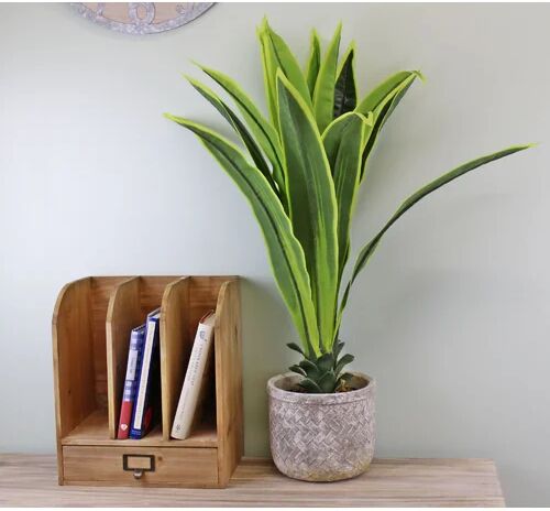 The Seasonal Aisle 67cm Artificial Foliage Tree in Pot The Seasonal Aisle  - Size: Runner 60 x 240cm The Seasonal Aisle 67cm Artificial Foliage Tree in Pot The Seasonal Aisle  - Size: Runner 60 x 240cm