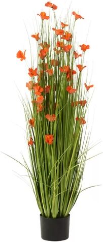 The Seasonal Aisle Snake Plant Grass in Pot The Seasonal Aisle  - Size: Medium The Seasonal Aisle Snake Plant Grass in Pot The Seasonal Aisle  - Size: Medium