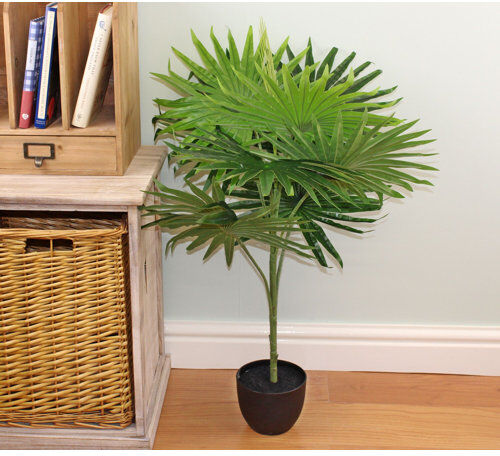 The Seasonal Aisle 70cm Artificial Palm Tree in Pot The Seasonal Aisle  - Size: Tall The Seasonal Aisle 70cm Artificial Palm Tree in Pot The Seasonal Aisle  - Size: Tall