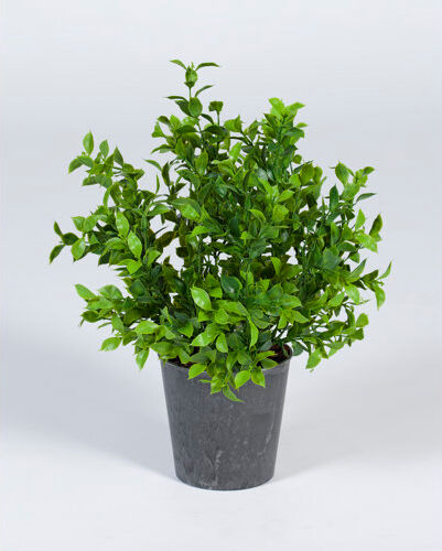 The Seasonal Aisle 32cm Artificial Plant in Pot The Seasonal Aisle  - Size: 45.72cm H x 66.04cm W x 1.91cm D The Seasonal Aisle 32cm Artificial Plant in Pot The Seasonal Aisle  - Size: 45.72cm H x 66.04cm W x 1.91cm D