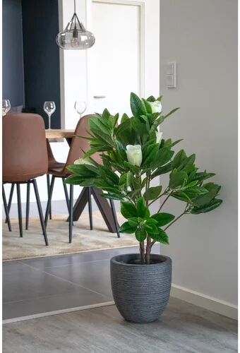 The Seasonal Aisle 75cm Artificial Magnolia Plant in Planter The Seasonal Aisle  - Size: Extra Tall