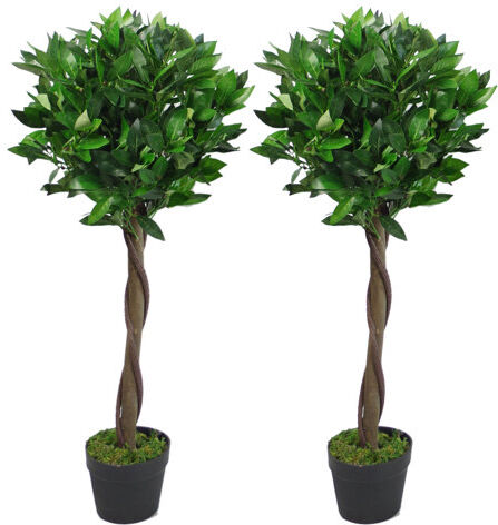 The Seasonal Aisle Artificial Topiary Bay Tree in Pot The Seasonal Aisle  - Size: 17 cm H x 22 cm W x 22 cm D The Seasonal Aisle Artificial Topiary Bay Tree in Pot The Seasonal Aisle  - Size: 17 cm H x 22 cm W x 22 cm D
