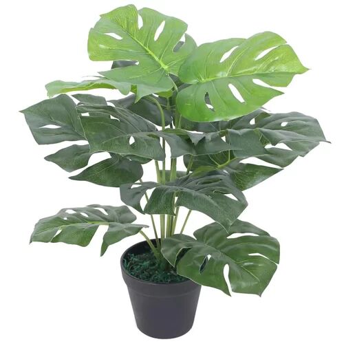 Bay Isle Home Monstera Floor Foliage Plant in Pot Bay Isle Home  - Size: