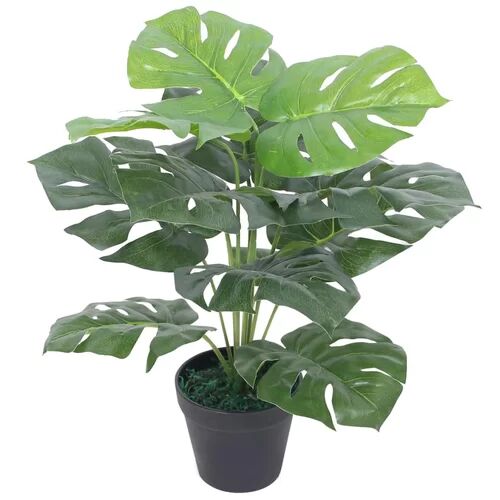 Bay Isle Home Monstera Floor Foliage Plant in Pot Bay Isle Home  - Size: Bay Isle Home Monstera Floor Foliage Plant in Pot Bay Isle Home  - Size: