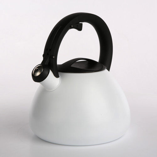Symple Stuff Massengill 2.5L Whistling Stovetop Kettle Symple Stuff  - Size: 60 cm H x 90 cm W Symple Stuff Massengill 2.5L Whistling Stovetop Kettle Symple Stuff  - Size: 60 cm H x 90 cm W
