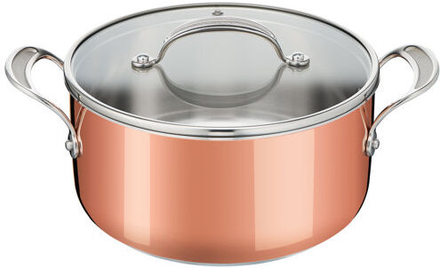 Tefal Pot with Lid Tefal Capacity: 3.1L 99cm H X 30cm W X 59cm D Tefal Pot with Lid Tefal Capacity: 3.1L 99cm H X 30cm W X 59cm D