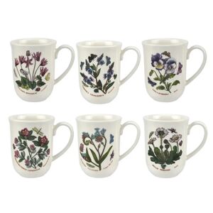 Portmeirion Botanic Garden 6 Piece Tulip Beaker Mugs Set white 10.5 H x 11.7 W cm