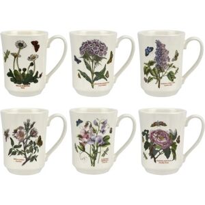 Portmeirion Botanic Garden 6 Piece Flared Tankard Mugs Set white 11.0 H cm