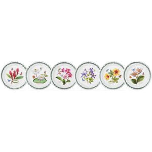 Portmeirion Exotic Botanic Garden 6 Piece Dinner Plates Set green/pink/white