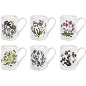 Portmeirion Botanic Garden 6 Piece Coffee Mugs Set white 10.2 H x 12.2 W cm