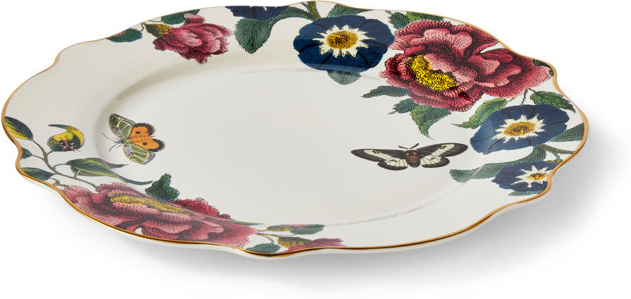 Spode Creatures of Curiosity 4 Piece Dinner Plates Set Blue;Red 27cm W