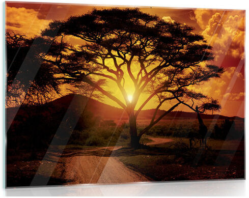 Latitude Run Africa Photograph Print on Glass Latitude Run Size: 60cm H x 80cm W  - Size: Rectangle 200 x 290cm Latitude Run Africa Photograph Print on Glass Latitude Run Size: 60cm H x 80cm W  - Size: Rectangle 200 x 290cm