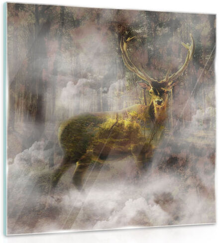 Brayden Studio 'Stag' - Graphic Art Print on Glass Brayden Studio Size: 40cm H x 40cm W  - Size: Brayden Studio 'Stag' - Graphic Art Print on Glass Brayden Studio Size: 40cm H x 40cm W  - Size: