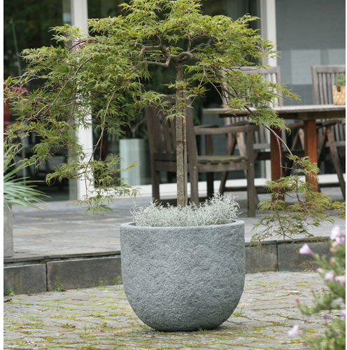 Freeport Park Maegan Fibreglass Planter Box Freeport Park Size: 35cm H x 53cm W x 53cm D  - Size: 108cm H x 60cm W x 24cm D Freeport Park Maegan Fibreglass Planter Box Freeport Park Size: 35cm H x 53cm W x 53cm D  - Size: 108cm H x 60cm W x 24cm D