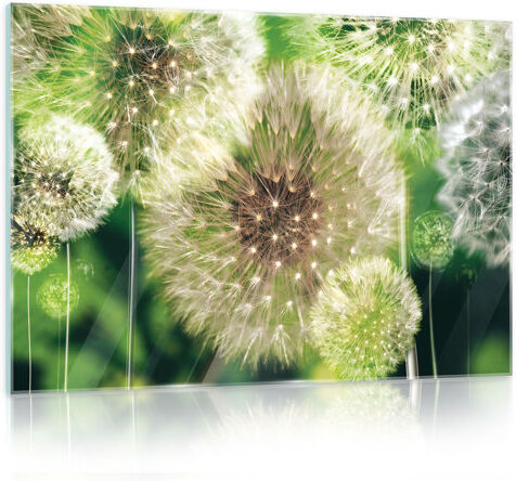 Brayden Studio 'Dandelions on a Green Background' - Photograph Print on Glass Brayden Studio Size: 40cm H x 60cm W  - Size: Mini (Under 40cm High) Brayden Studio 'Dandelions on a Green Background' - Photograph Print on Glass Brayden Studio Size: 40cm H x 60cm W  - Size: Mini (Under 40cm High)