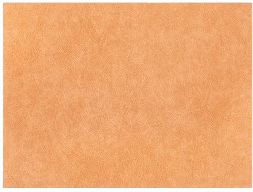 Ebern Designs Zygi Placemat Ebern Designs Colour: Salmon Ebern Designs Zygi Placemat Ebern Designs Colour: Salmon