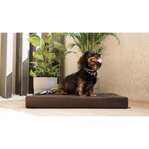 Archie & Oscar Trevin Codura Pet Bed Brown 9cm H x 122cm W x 76cm D/Double Extra Large Archie & Oscar Trevin Codura Pet Bed Brown 9cm H x 122cm W x 76cm D/Double Extra Large