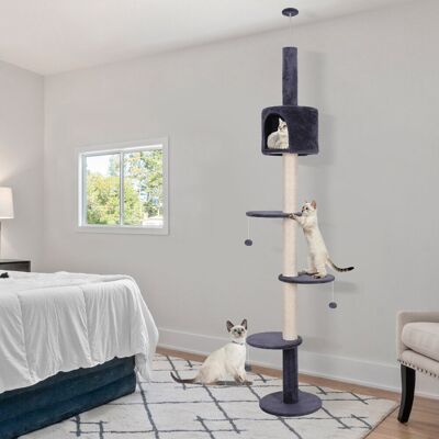 Archie & Oscar Floor To Ceiling Cat Tree, Cat Tower Climbing Scratching Post Condo, Cat Kitten Activity Center Blue 220cm H X 40cm W X 40cm D Archie & Oscar Floor To Ceiling Cat Tree, Cat Tower Climbing Scratching Post Condo, Cat Kitten Activity Center Blue 220cm H X 40cm W X 40cm D