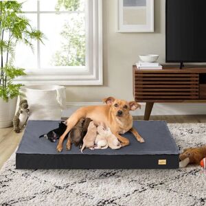 UNHO Travel Dog Beds in Black black 10.0 H x 120.0 W x 75.0 D cm