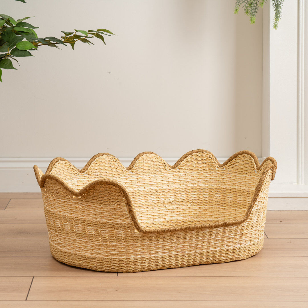 Archie & Oscar Natural & Cream Scallop Pet Bed with mat Cream 24cm H x 64cm W x 42cm D/Small (11 -25 lbs)