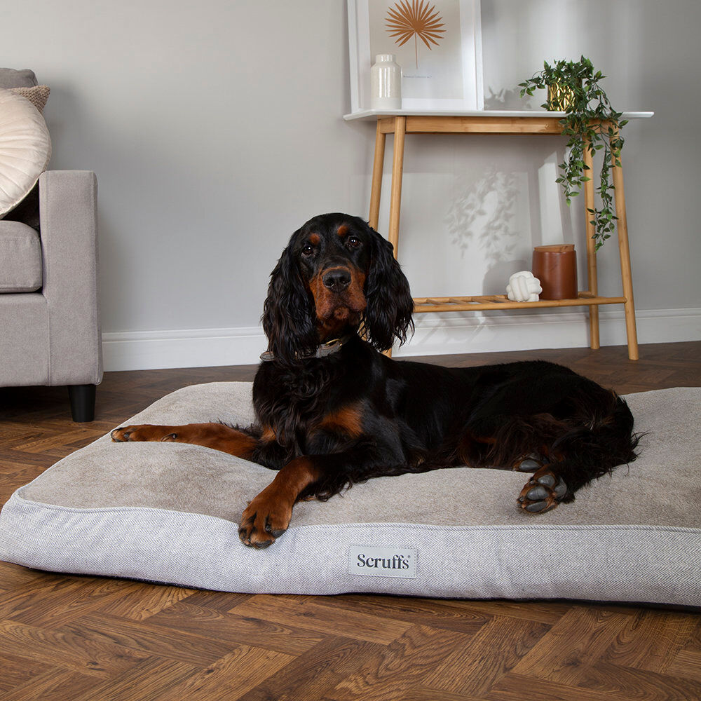 Scruffs Harvard Orthopedic Dog Bed - For Ultra Support & Comfort Pearl Grey 20cm H x 100cm W x 70cm D